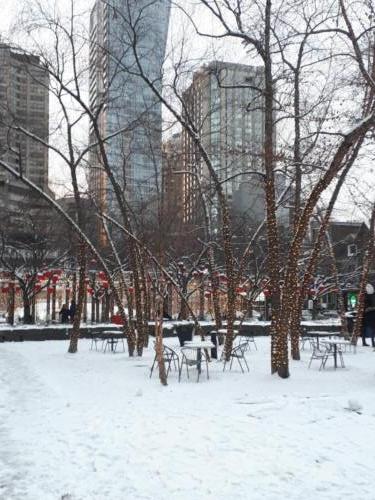 Downtown Toronto Christmas Spirit 