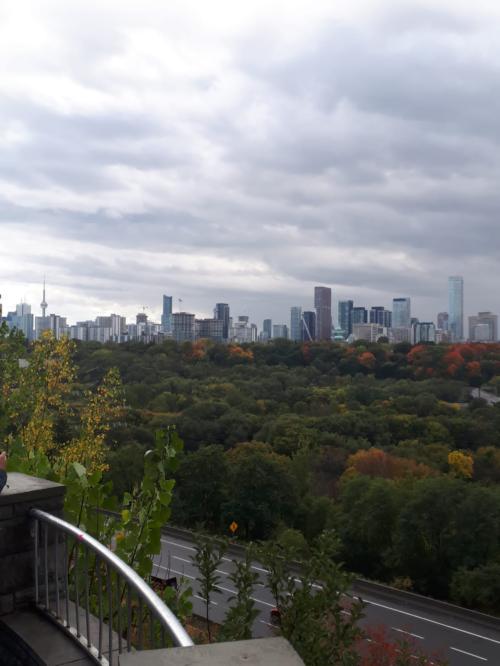 Toronto Skyline View