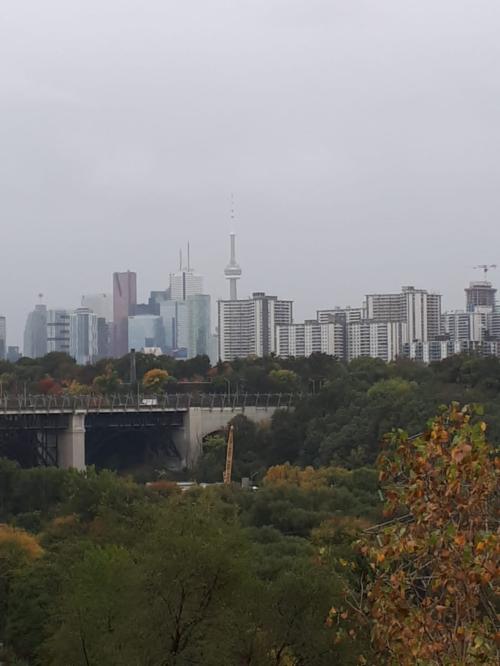 Toronto Skyline View