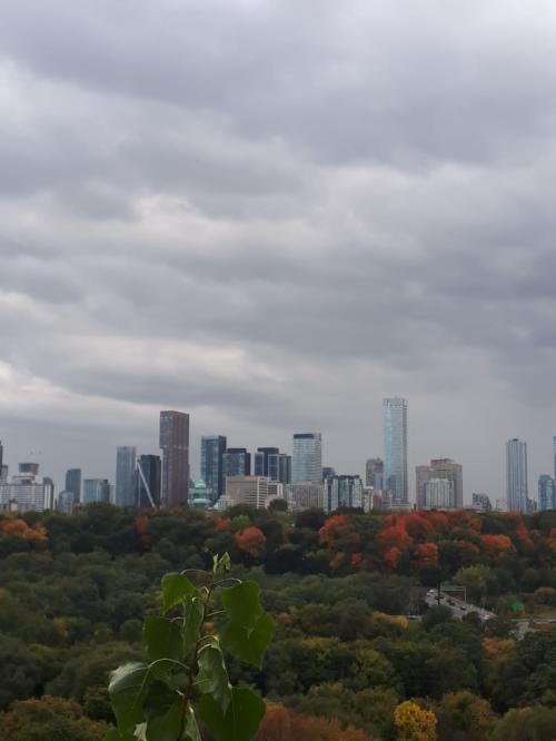 Toronto Skyline View