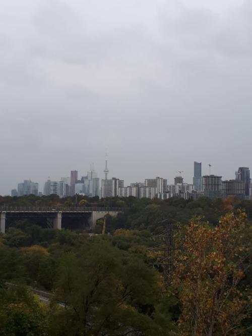 Toronto Skyline View