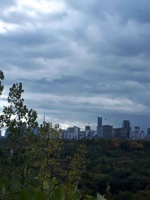 Toronto Skyline View