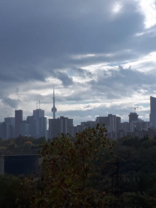 Toronto Skyline View