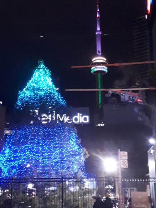 Christmas Tree by Bell Media Studios