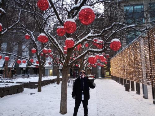 Downtown Toronto Christmas Spirit 