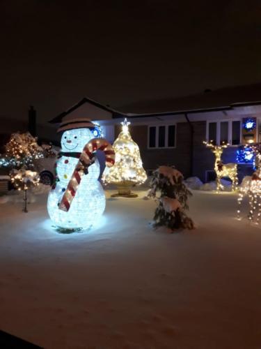 Residential Christmas Lights Design